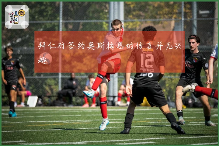 拜仁对签约奥斯梅恩的传言并无兴趣