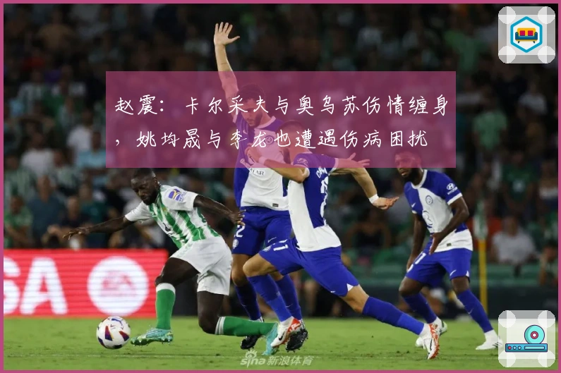 赵震：卡尔采夫与奥乌苏伤情缠身，姚均晟与李龙也遭遇伤病困扰